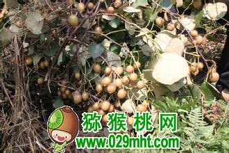 PG国际官方网站图片