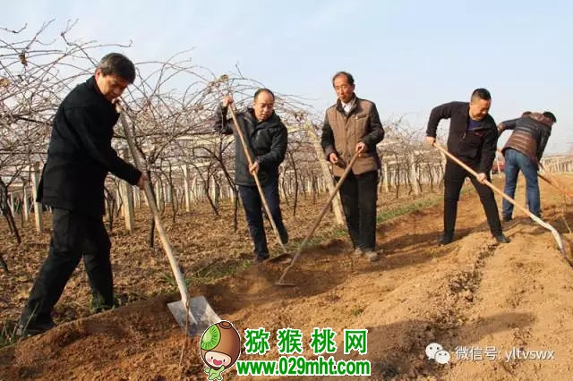 PG国际官方网站图片