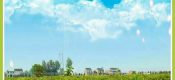 2020年周至翠香PG国际猕猴桃全施用农家肥，现在已经发出了嫩嫩的芽，花蕾已现，期待8月底和朋友们的见面