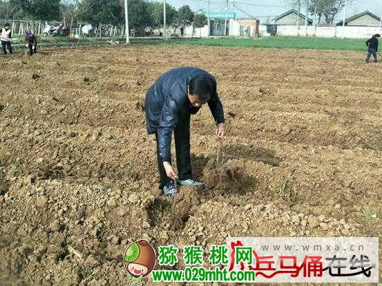 PG国际官方网站图片