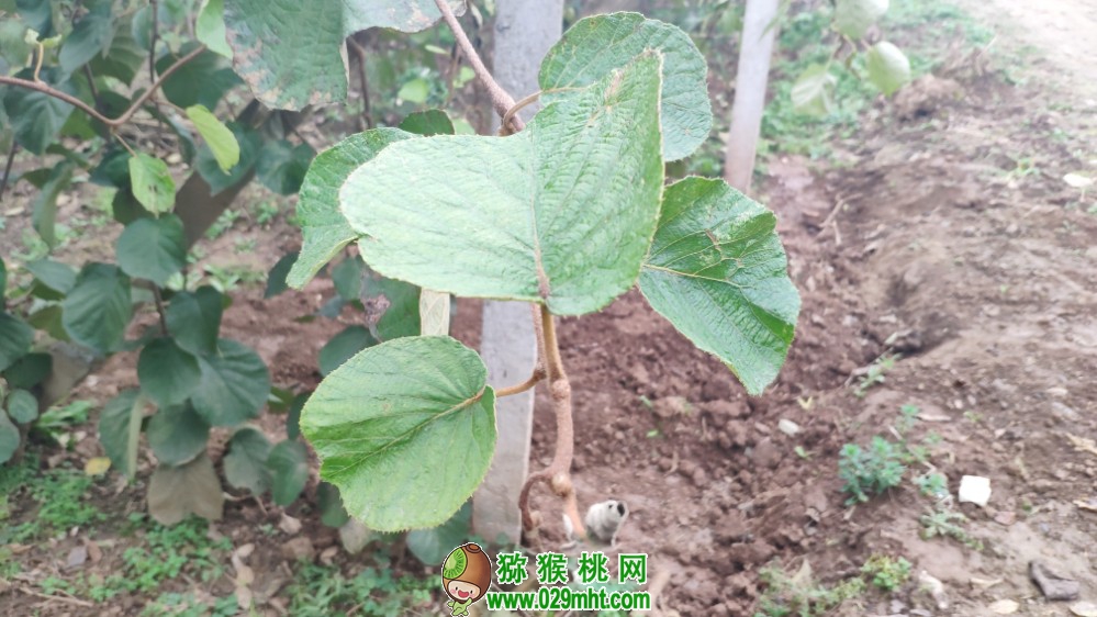 PG国际 48cb7