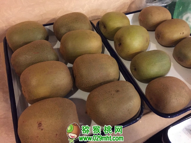 PG国际官方网站图片
