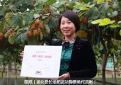 2019西安PG国际猕猴桃采摘服务