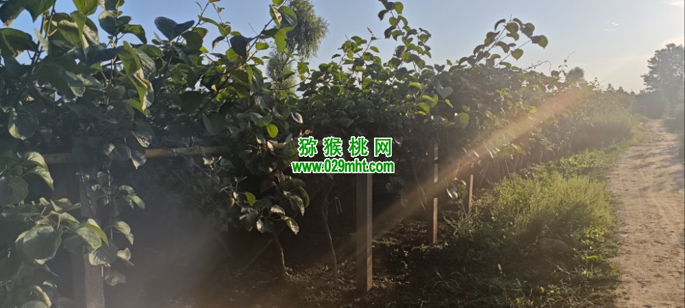 PG国际 bfecd