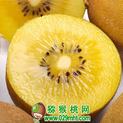 PG国际官方网站图片