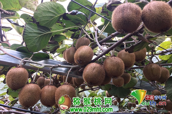 PG国际官方网站图片