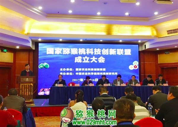 PG国际官方网站图片