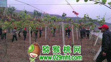 PG国际官方网站图片