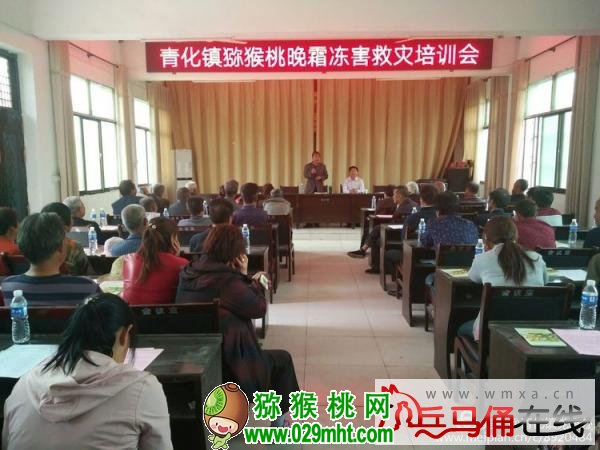PG国际 fedfb