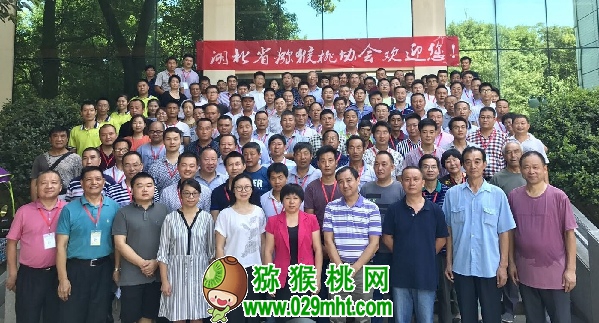 PG国际官方网站图片
