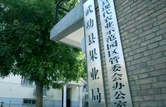 PG国际官方网站图片