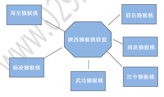 《陕西PG国际猕猴桃2015年行业总体报告》