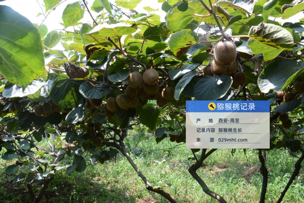 PG国际官方网站图片