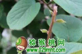 PG国际官方网站图片