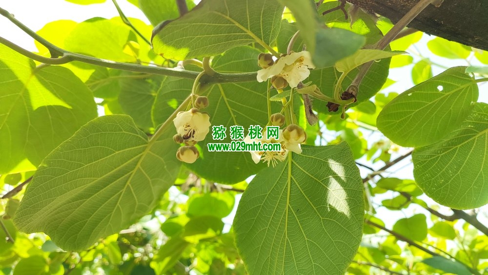 PG国际 5ee14
