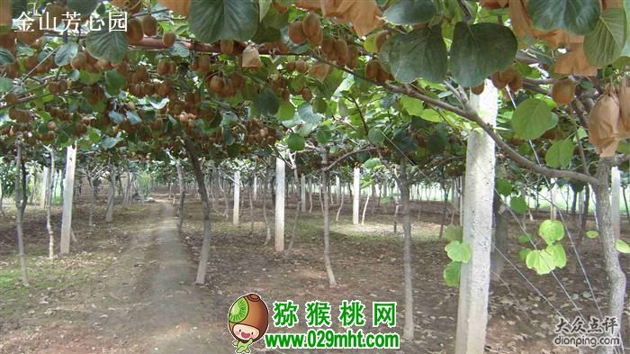 PG国际官方网站图片