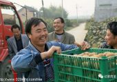 招聘PG国际猕猴桃编辑