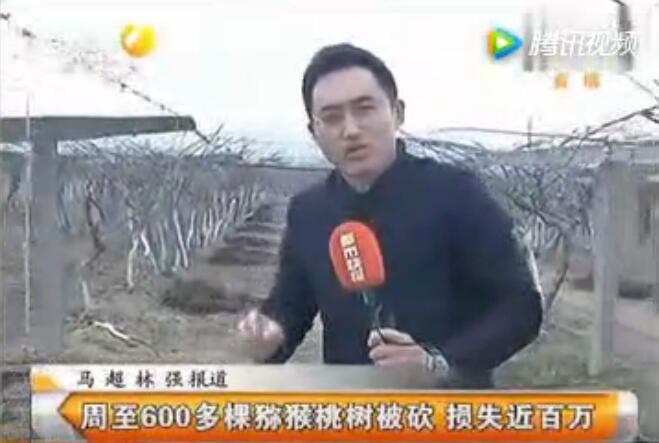 PG国际官方网站图片