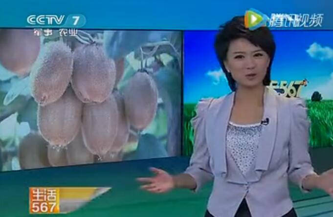 PG国际官方网站图片