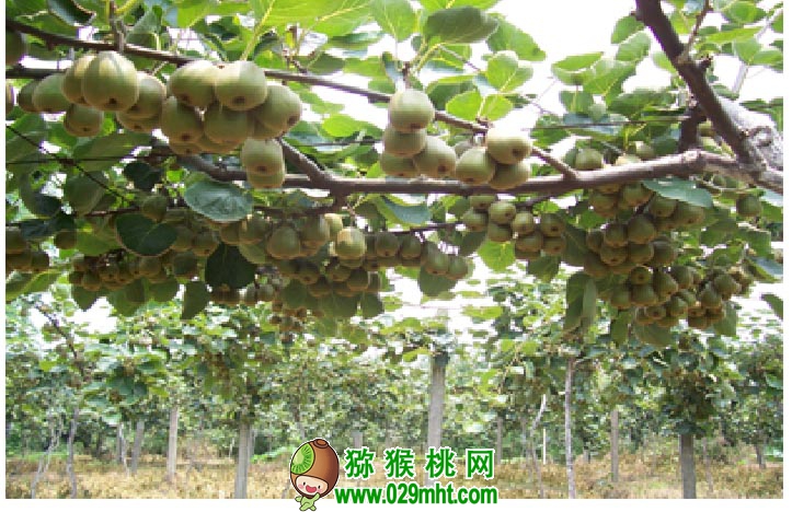 PG国际官方网站图片