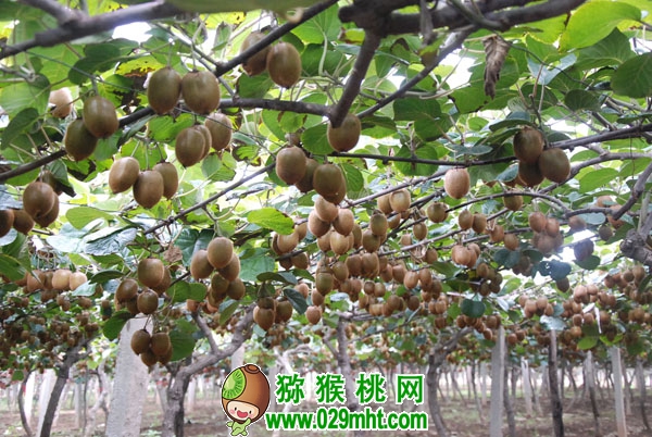 PG国际官方网站图片