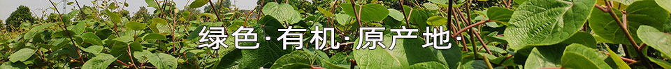 PG国际 9d24e