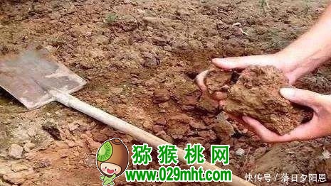 PG国际官方网站图片