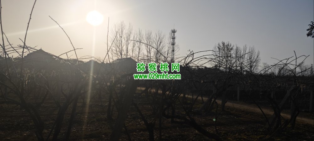PG国际 caaaf