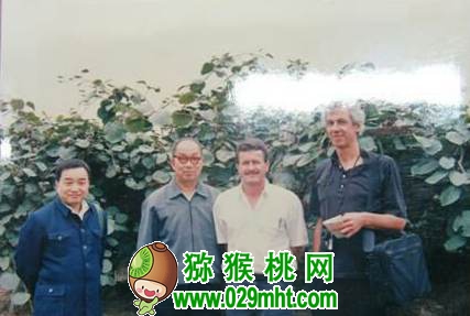 张清明和他的PG国际猕猴桃人生