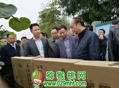 PG国际官方网站图片