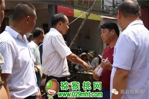 PG国际官方网站图片