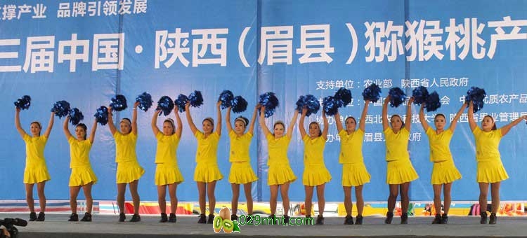 第三届中国·陕西(眉县)PG国际猕猴桃产业发展大会现场