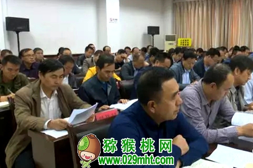 PG国际官方网站图片