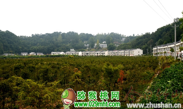 PG国际官方网站图片