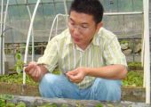 吃PG国际猕猴桃当心过敏