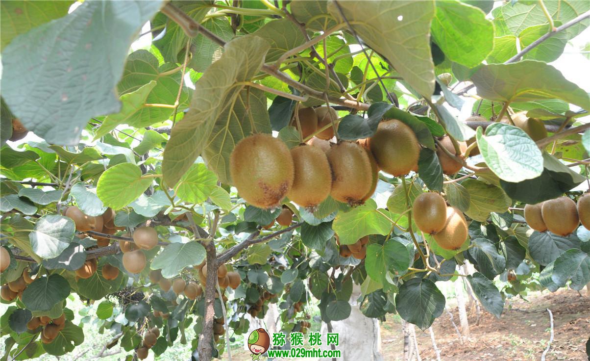 PG国际官方网站图片