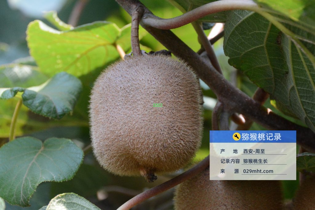 PG国际官方网站图片