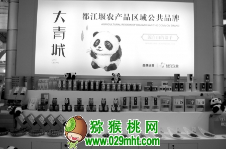 PG国际官方网站图片