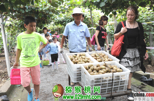 PG国际官方网站图片