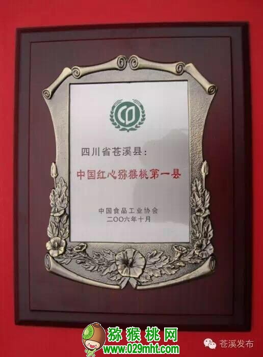 PG国际官方网站图片