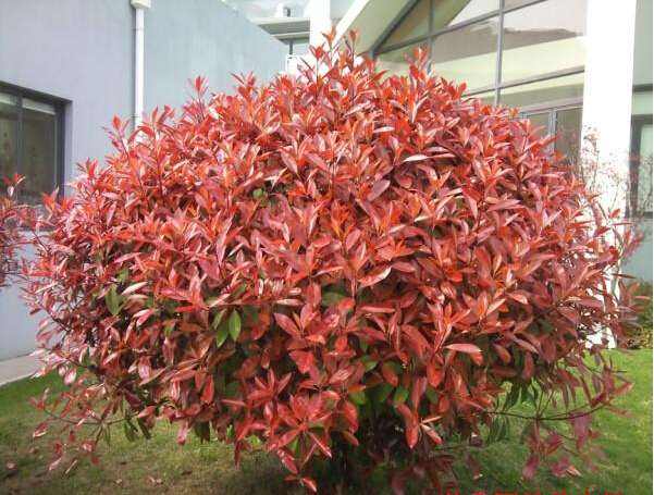 PG国际 fd3f3