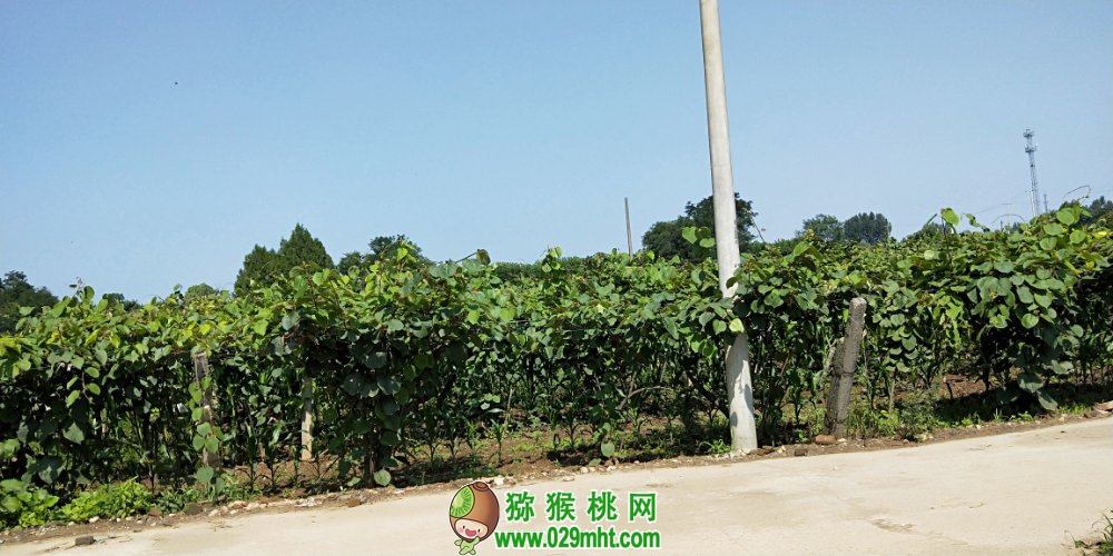 PG国际 2c2a0
