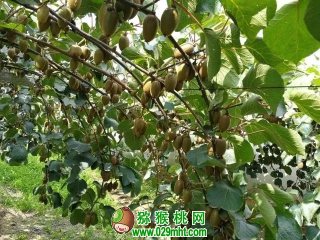 PG国际官方网站图片
