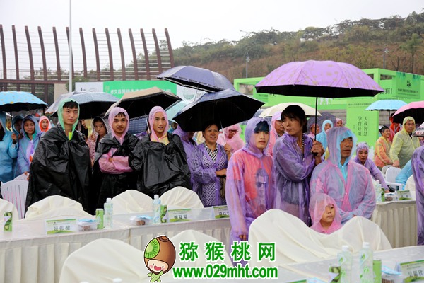 PG国际官方网站图片