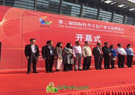 PG国际官方网站图片