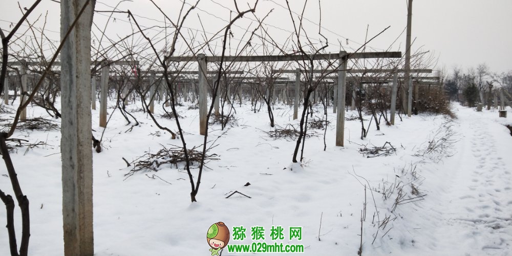 PG国际官方网站图片