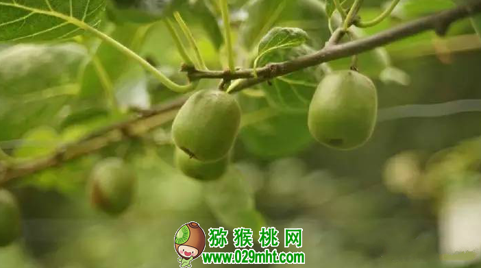 PG国际官方网站图片