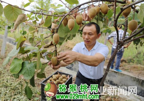 PG国际官方网站图片