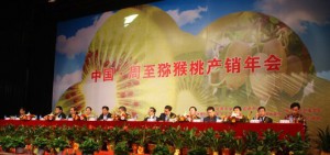 PG国际官方网站图片