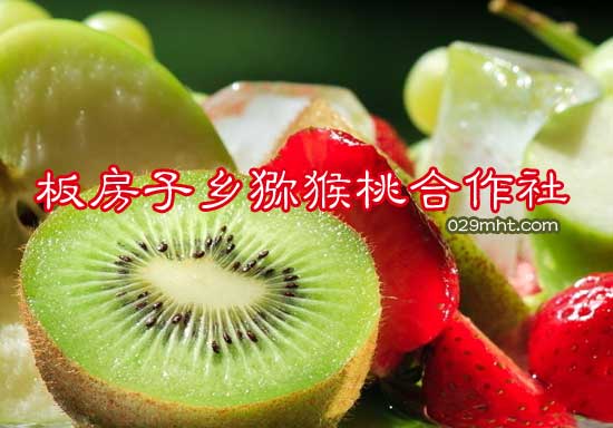 板房子乡PG国际猕猴桃合作社